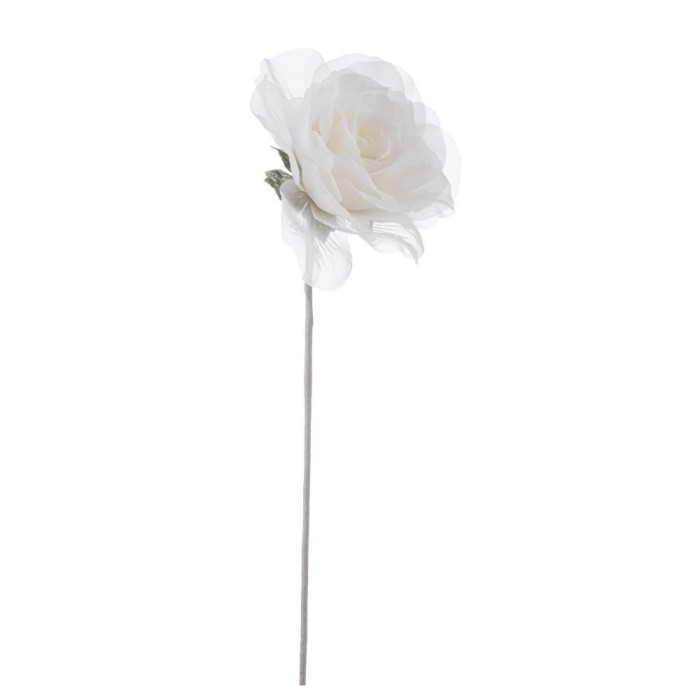 ROSA ALEISHA CREMA H.12